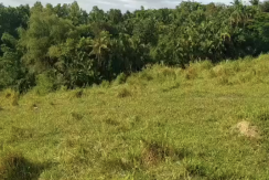 Lot for Sale in Tabogon North of Cebu