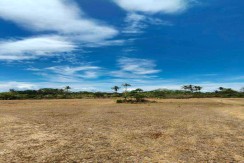 Blissful Land Libertad Lot For Sale in Libertad , Daanbantayan