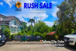 For Sale - Alpha Executive Homes Lot - Talisay City