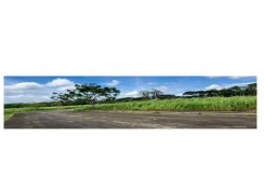 Residential Vacant Lot for Sale | Eagle Ridge Cavite | 263 SQM